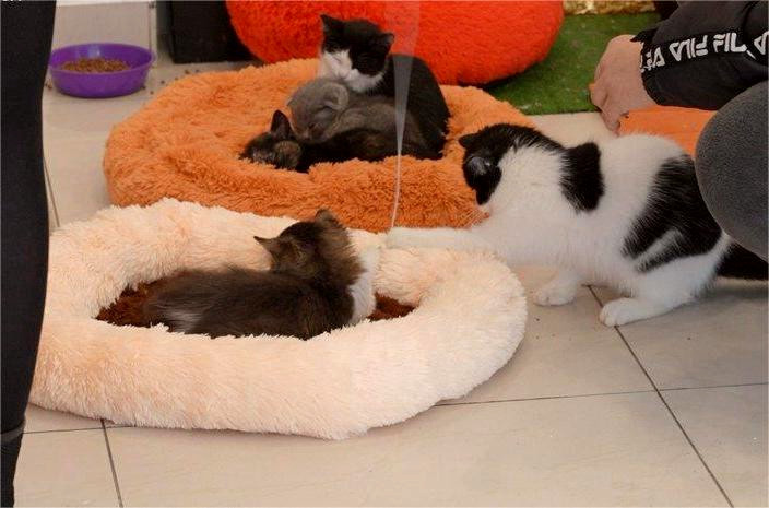 10062 image for slide