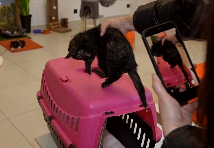 10063 image for slide