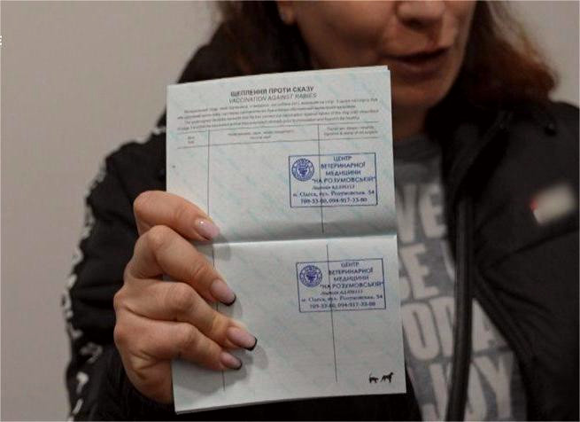 10065 image for slide