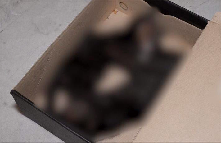 10066 image for slide