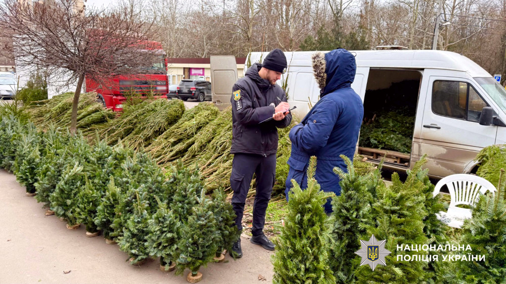 10073 image for slide