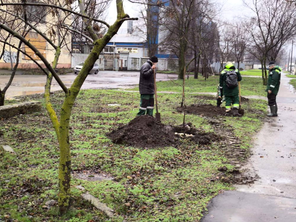 10138 image for slide