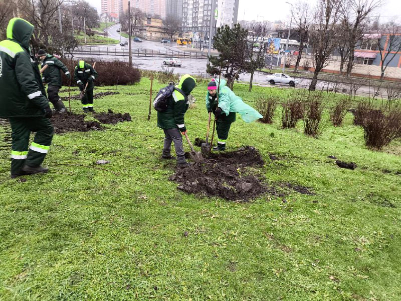 10139 image for slide