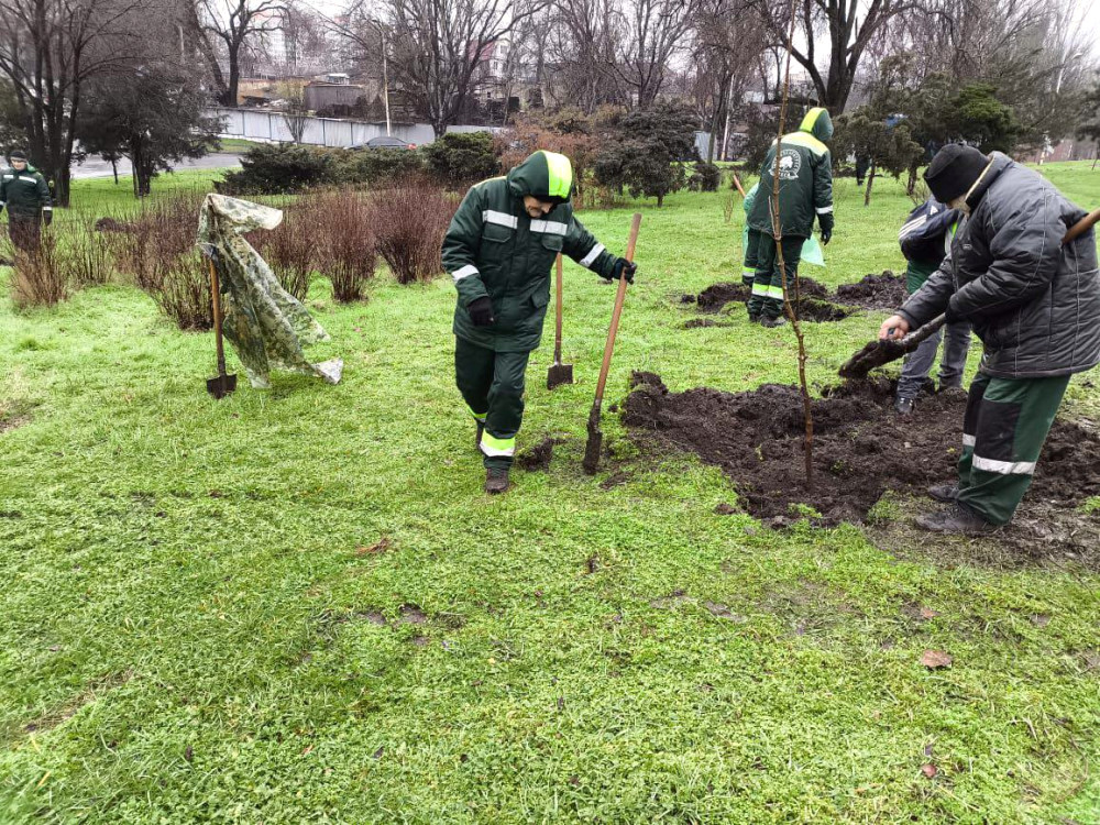 10140 image for slide