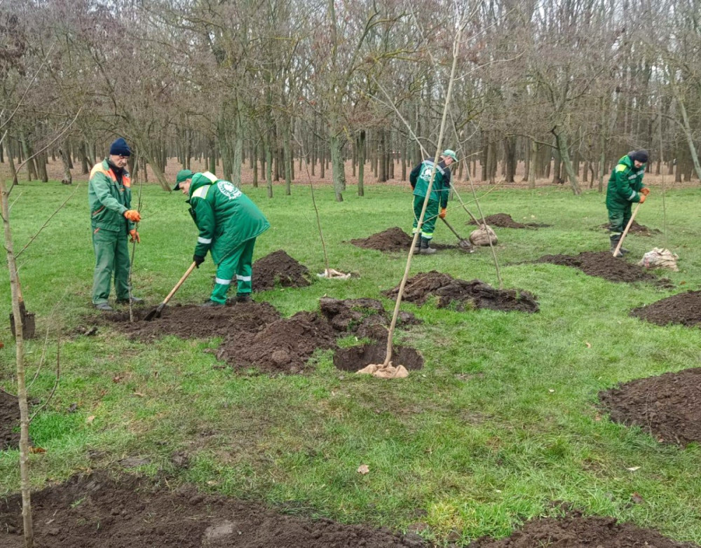 10141 image for slide