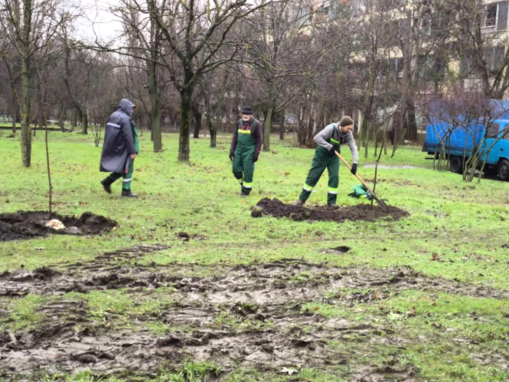 10142 image for slide