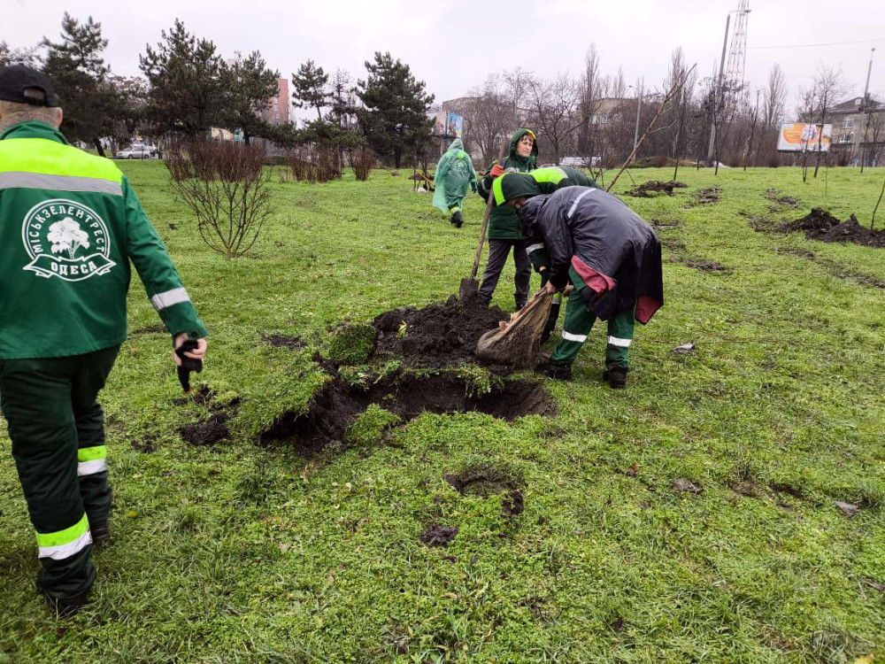 10143 image for slide