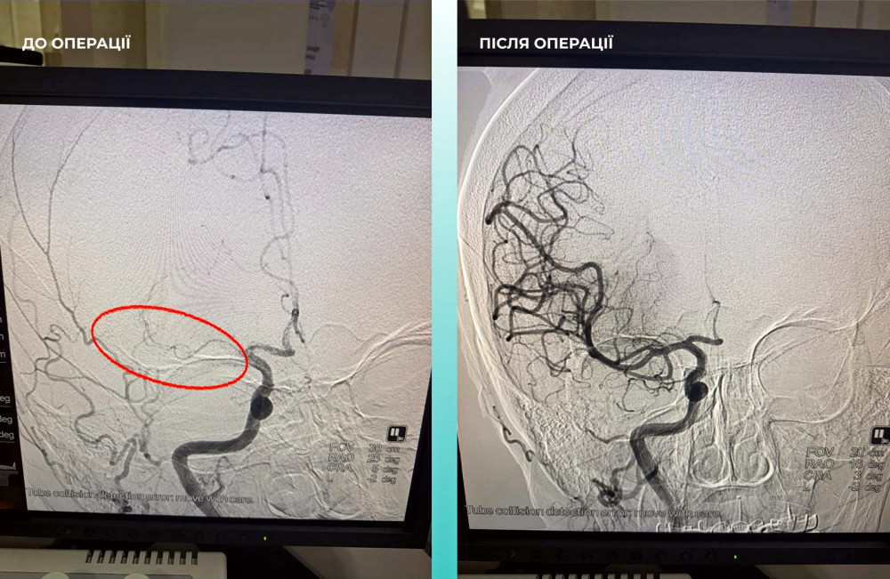 10222 image for slide