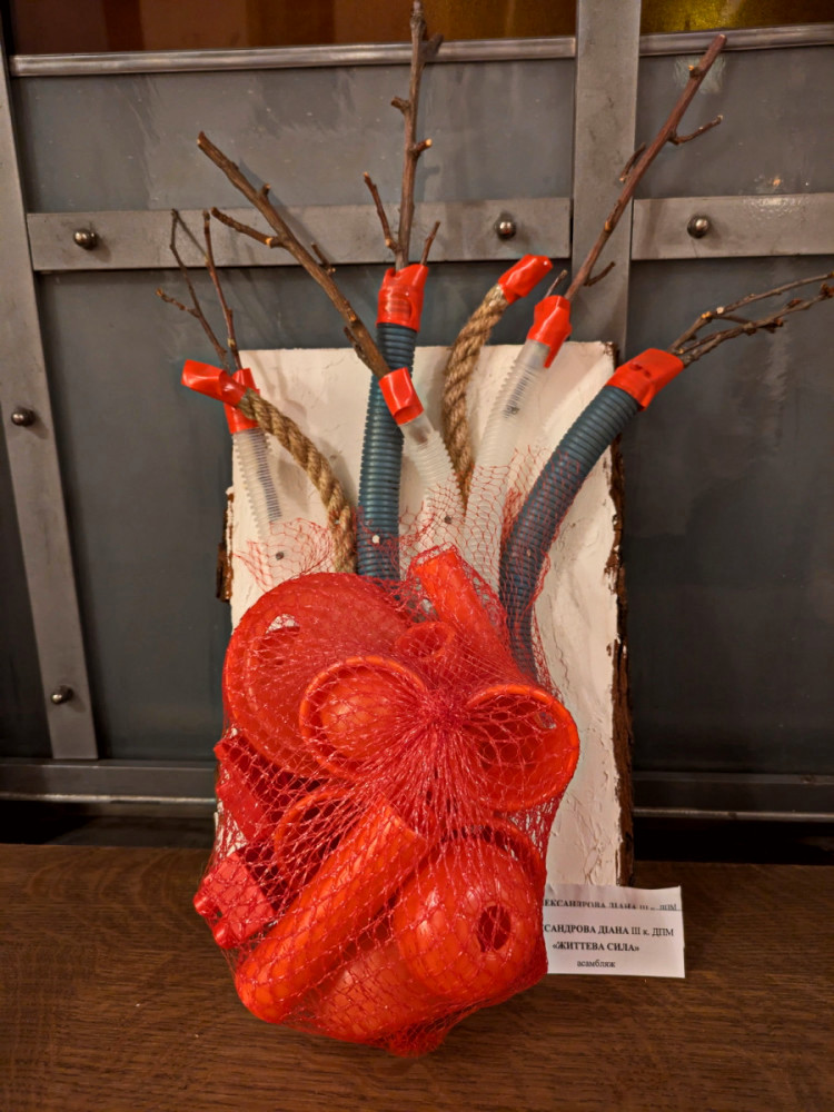 3208 image for slide