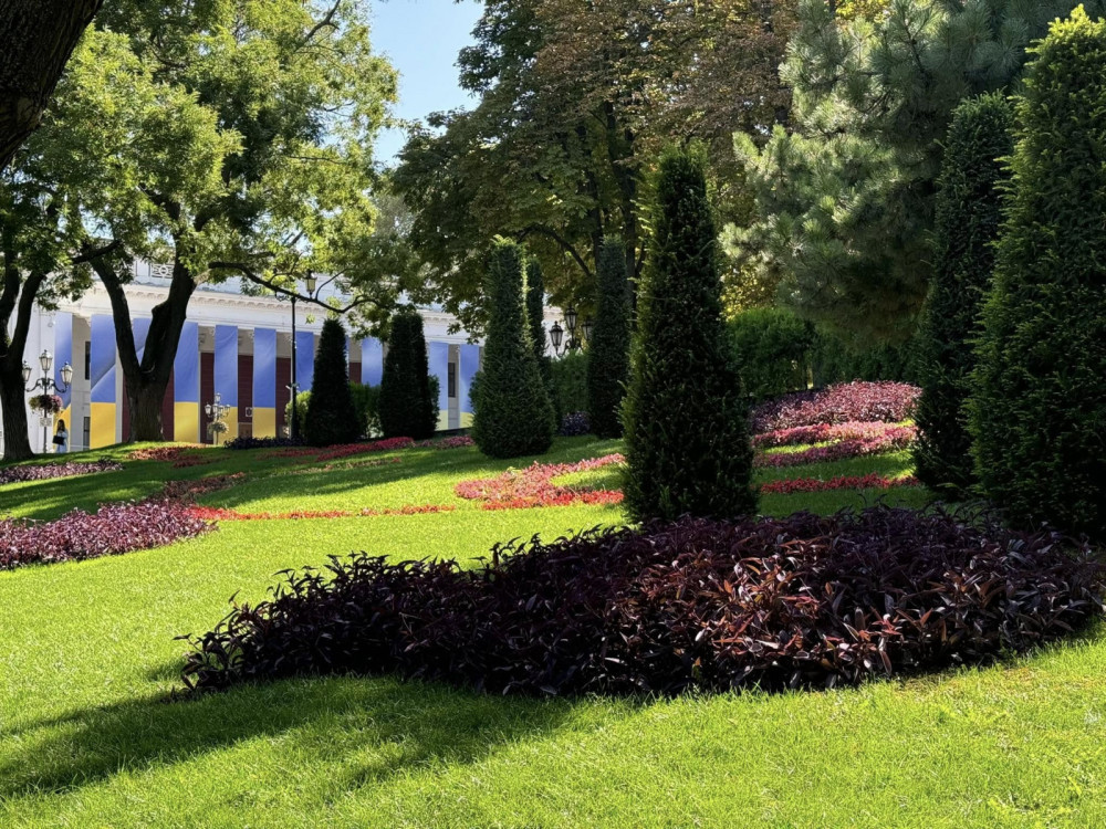 3381 image for slide