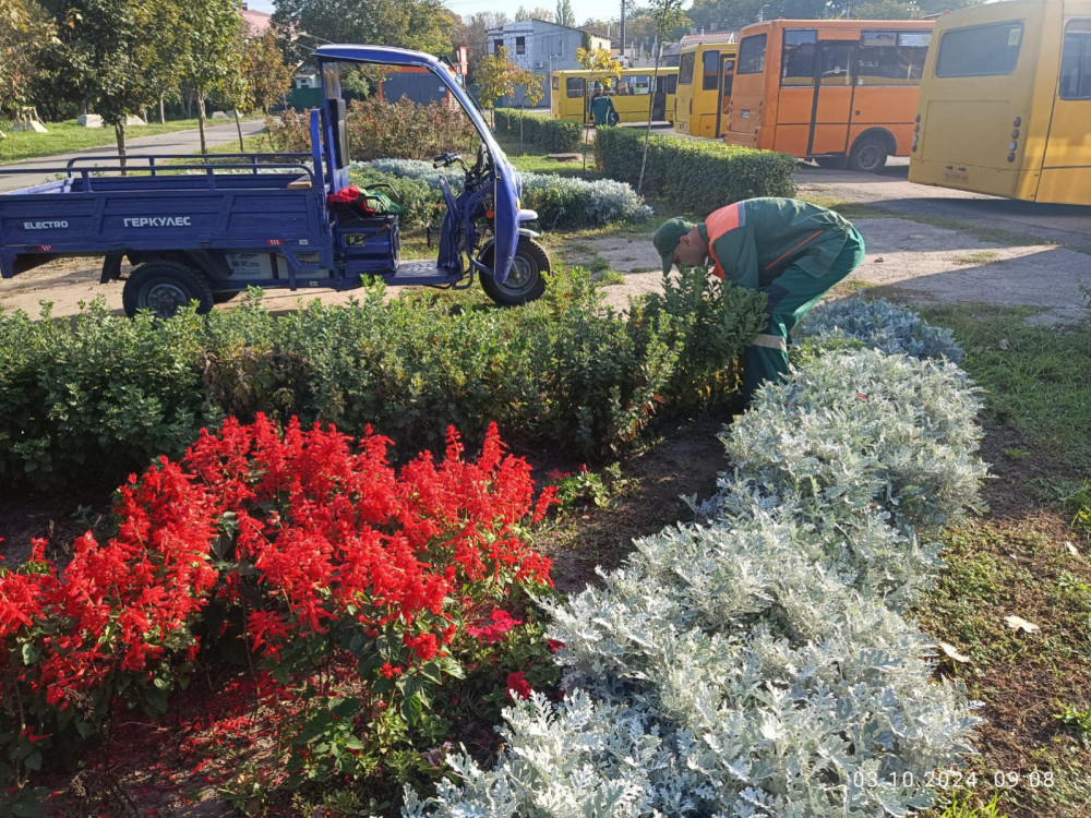 3385 image for slide