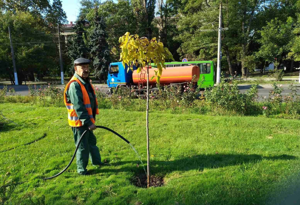 3388 image for slide