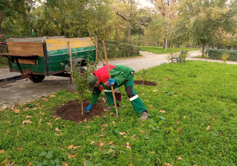 3392 image for slide