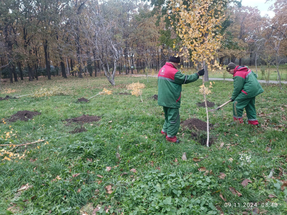 3395 image for slide