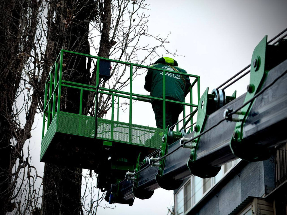 3399 image for slide