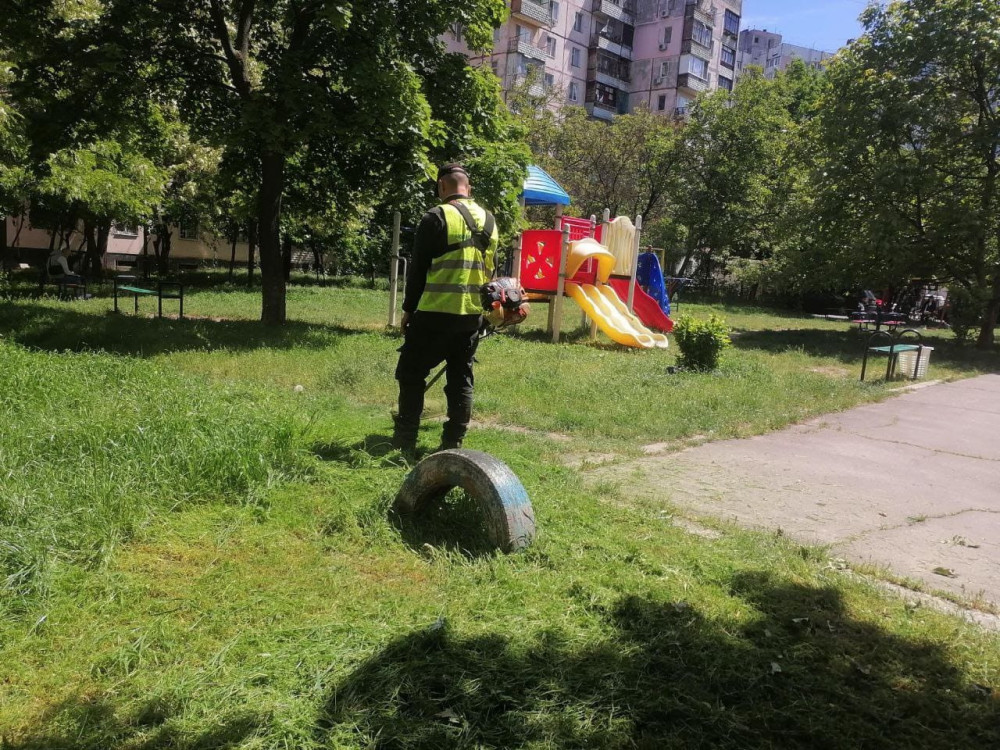 3406 image for slide