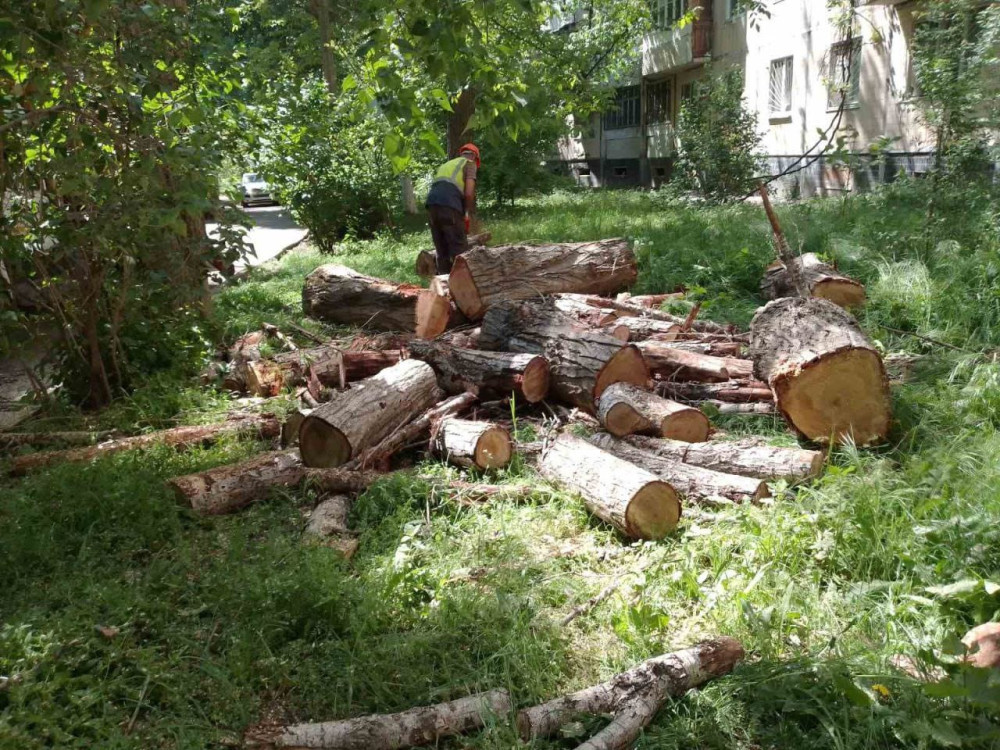 3411 image for slide