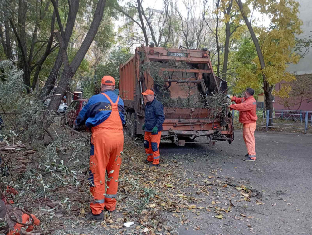 3412 image for slide