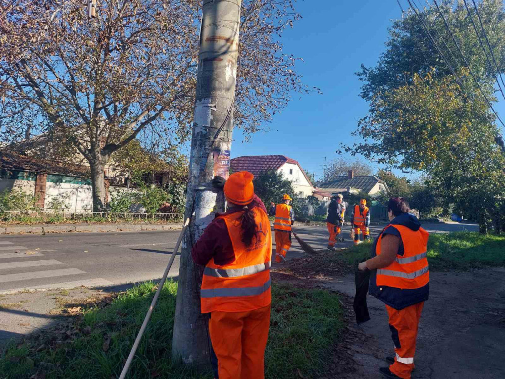 3413 image for slide