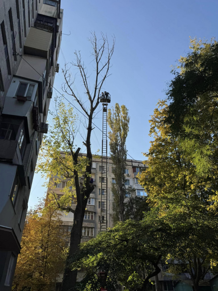 3415 image for slide