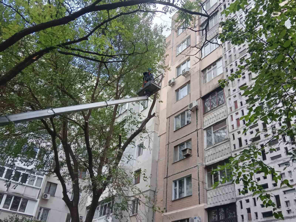 3419 image for slide