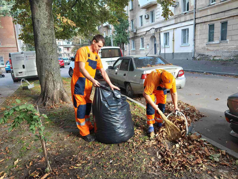 3433 image for slide