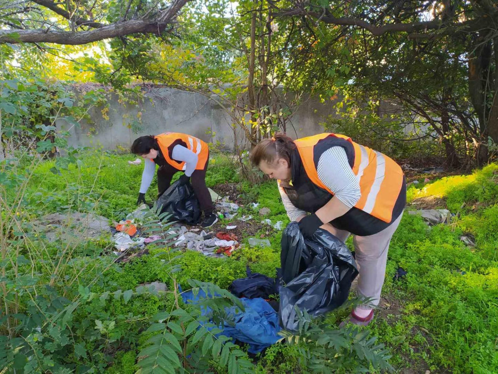 3436 image for slide