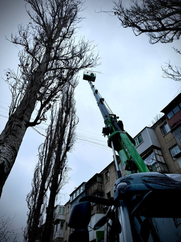 3533 image for slide