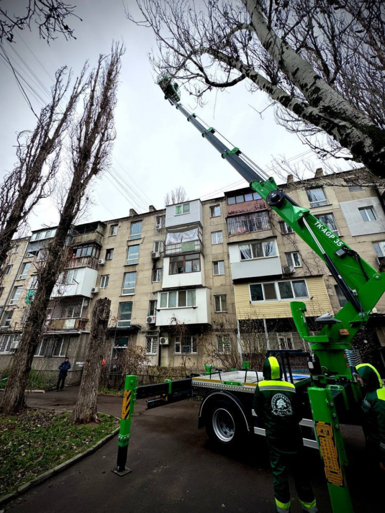 3537 image for slide