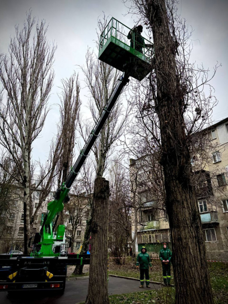 3538 image for slide