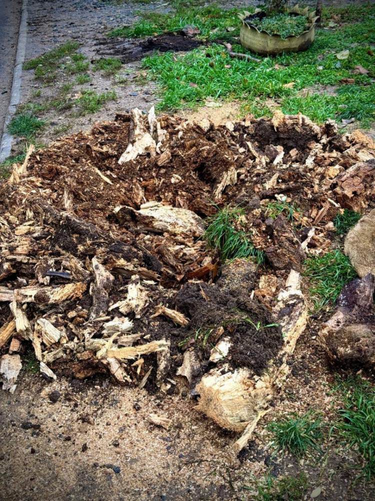 3539 image for slide