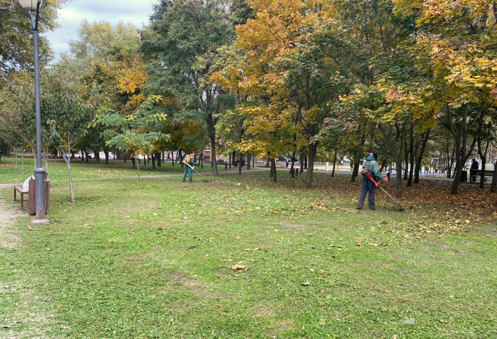 3914 image for slide