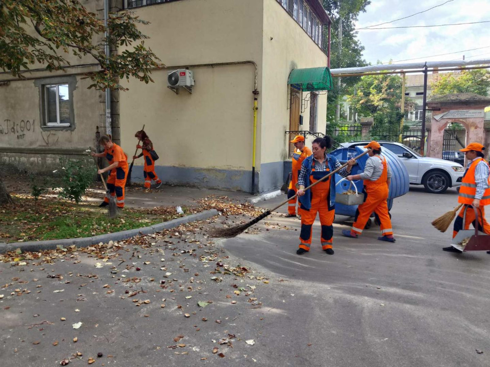 3942 image for slide