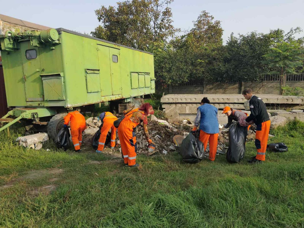 3944 image for slide