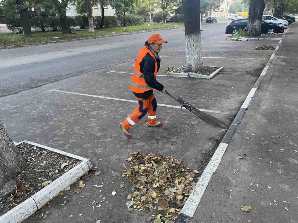 3946 image for slide