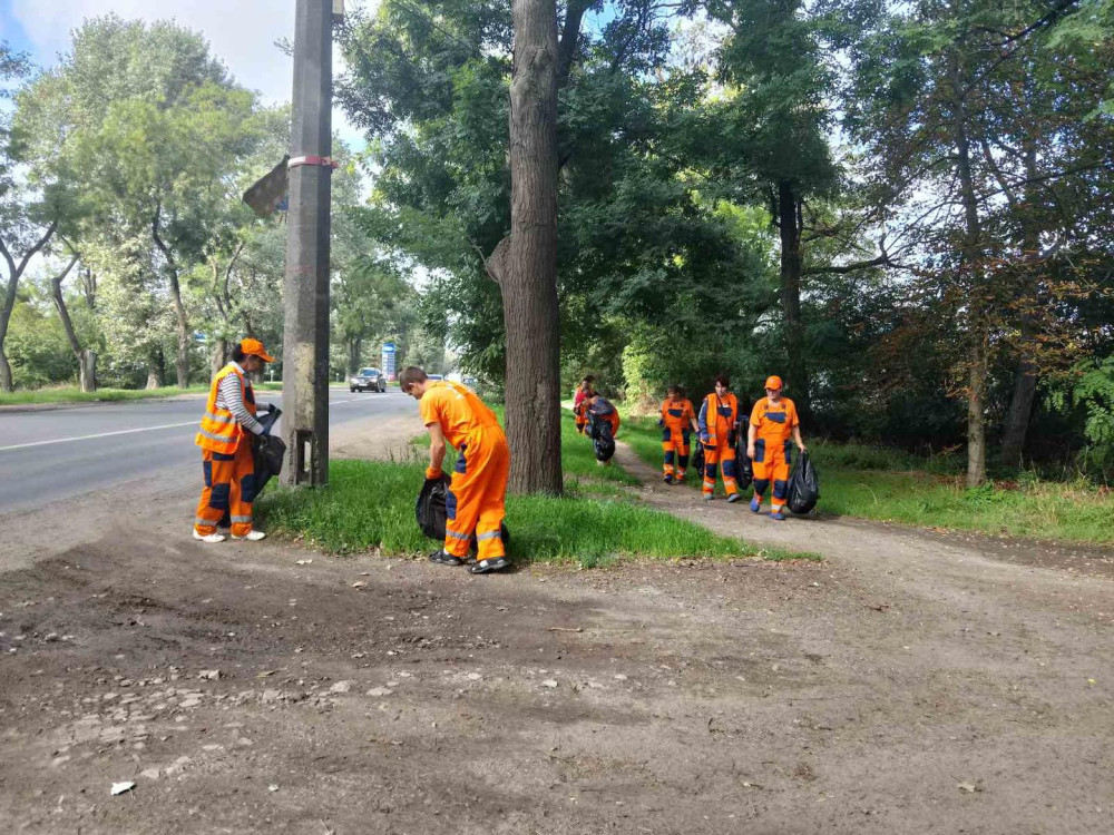 3948 image for slide