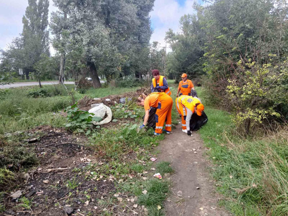 3949 image for slide