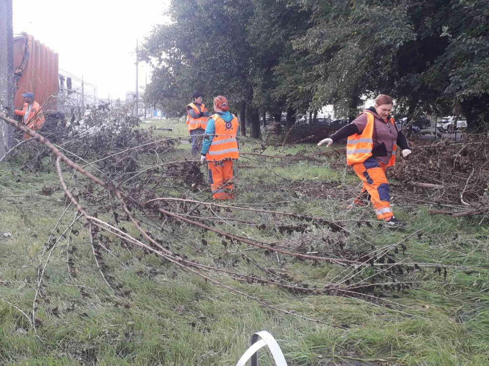 3951 image for slide