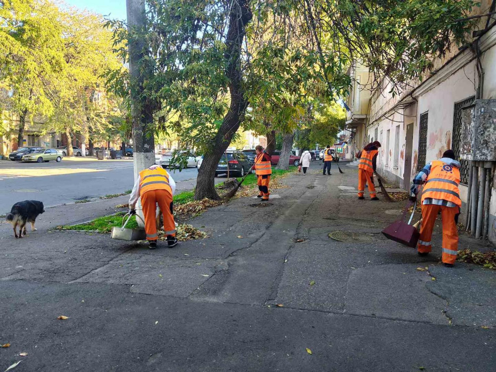 3955 image for slide