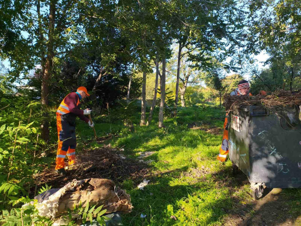 3956 image for slide