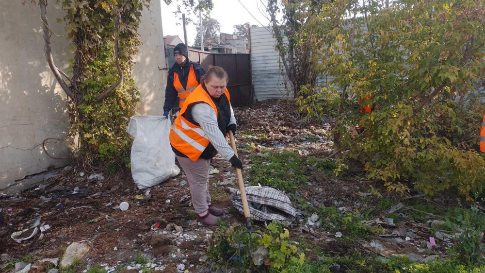 3962 image for slide