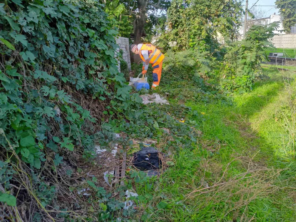 3965 image for slide