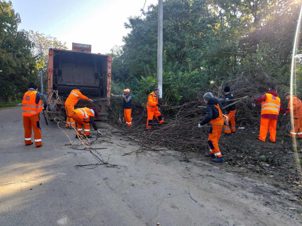 3966 image for slide