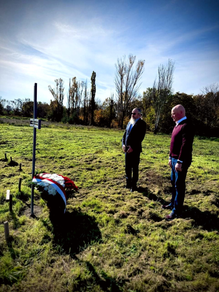 4409 image for slide