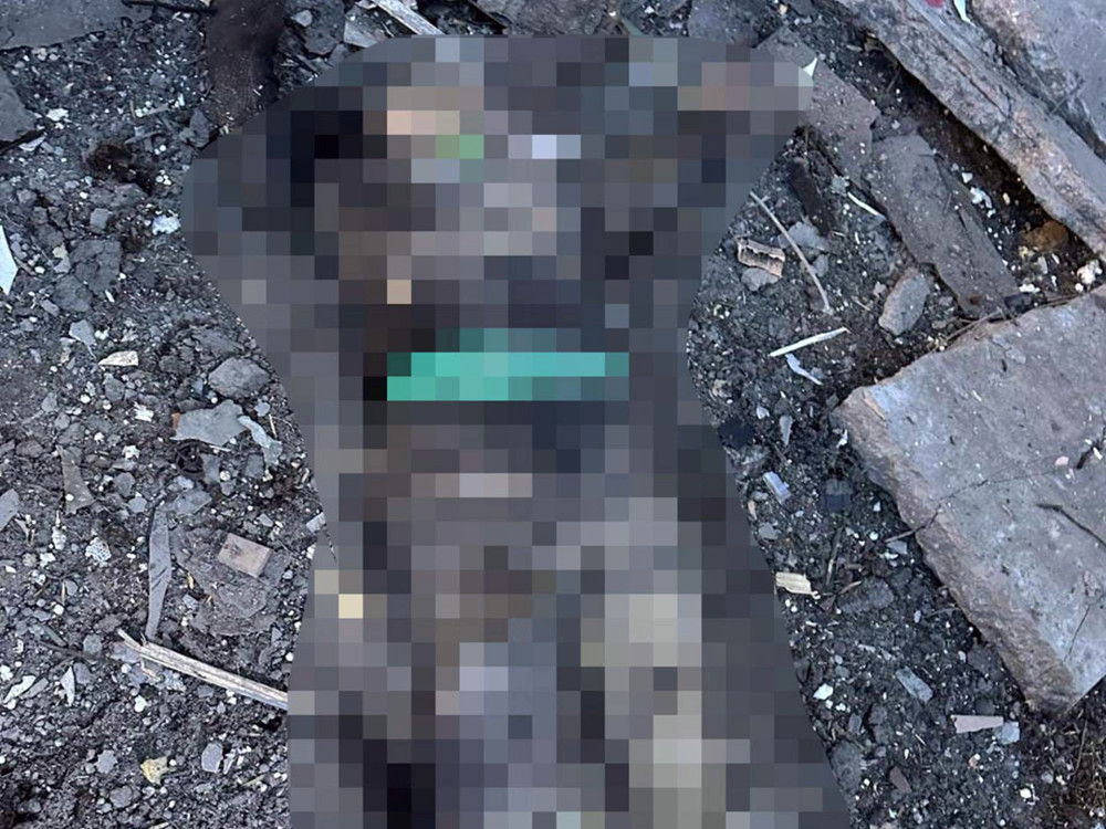 5491 image for slide