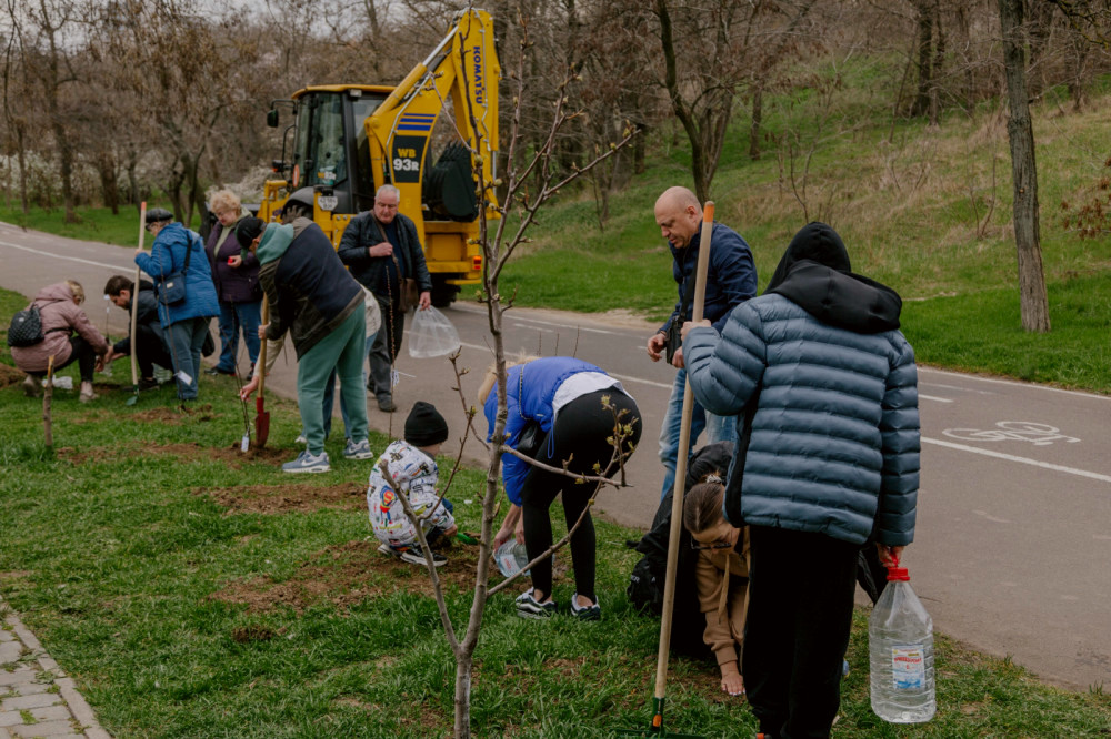 6040 image for slide