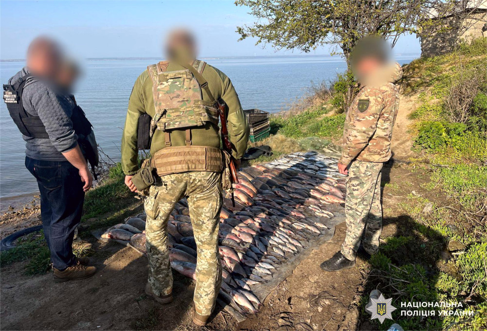 6423 image for slide