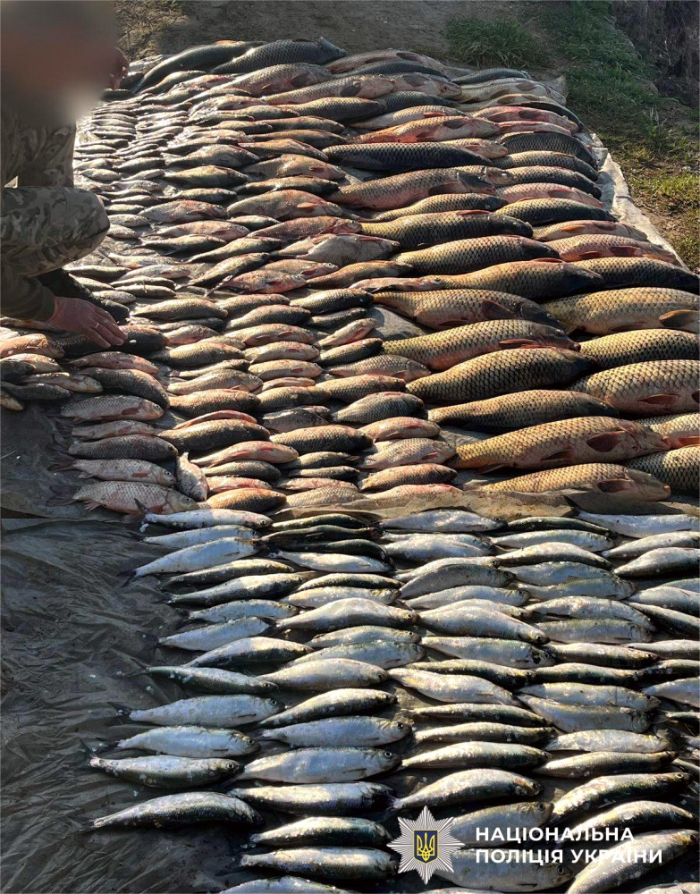 6424 image for slide