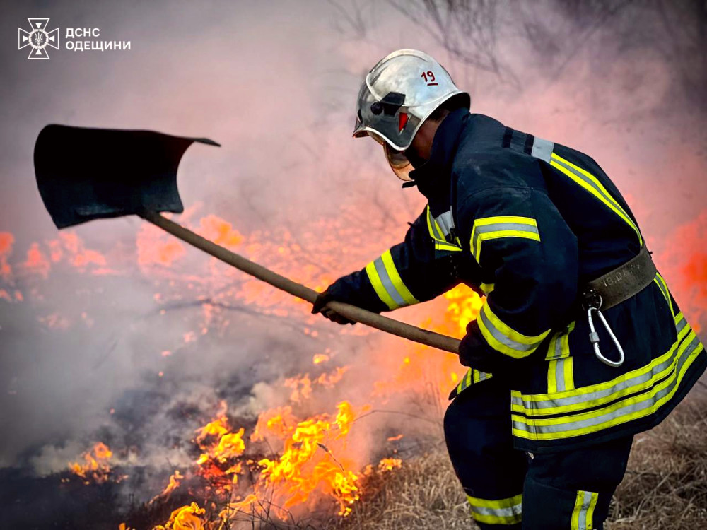 6454 image for slide