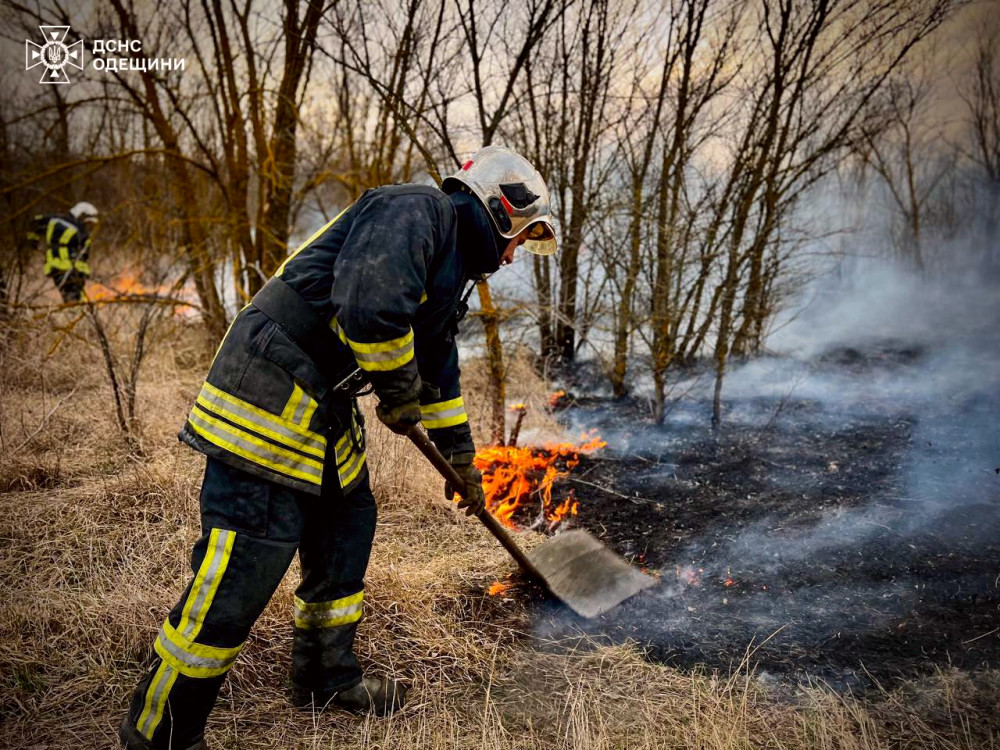 6457 image for slide